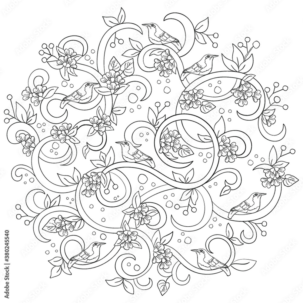 intricate birds design intricate birds design