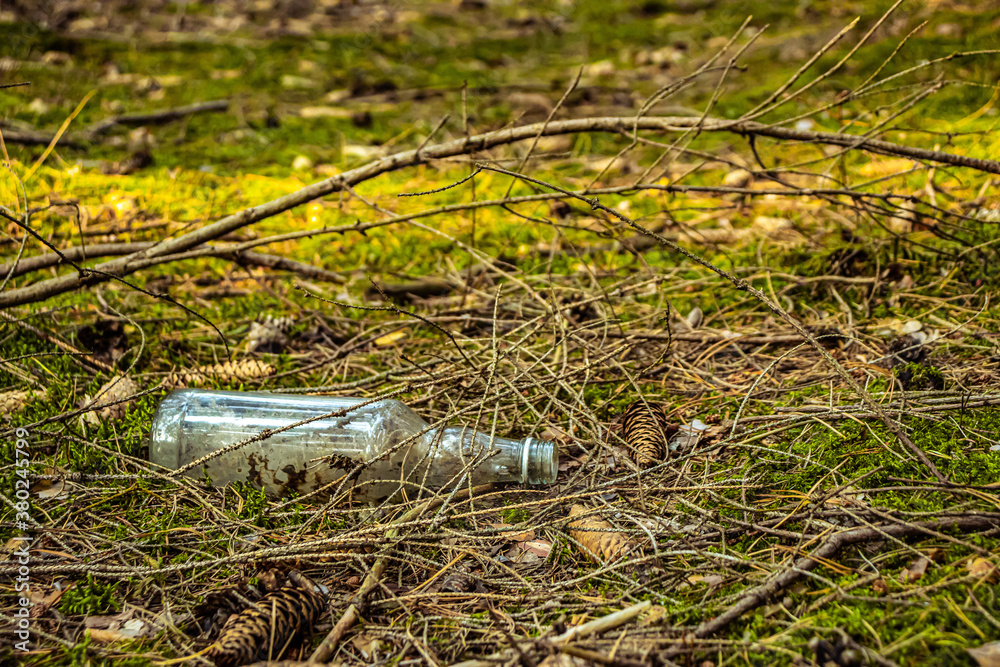 Obraz premium Bottle of water in a forest - Garbage in the forest