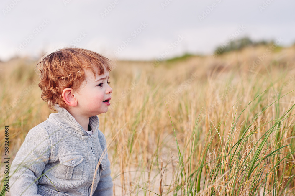 Toddler exploring the dunes at the beach in winter Toddler exploring the dunes at the beach in winter