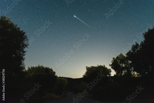 Night sky and shooting star above the trees