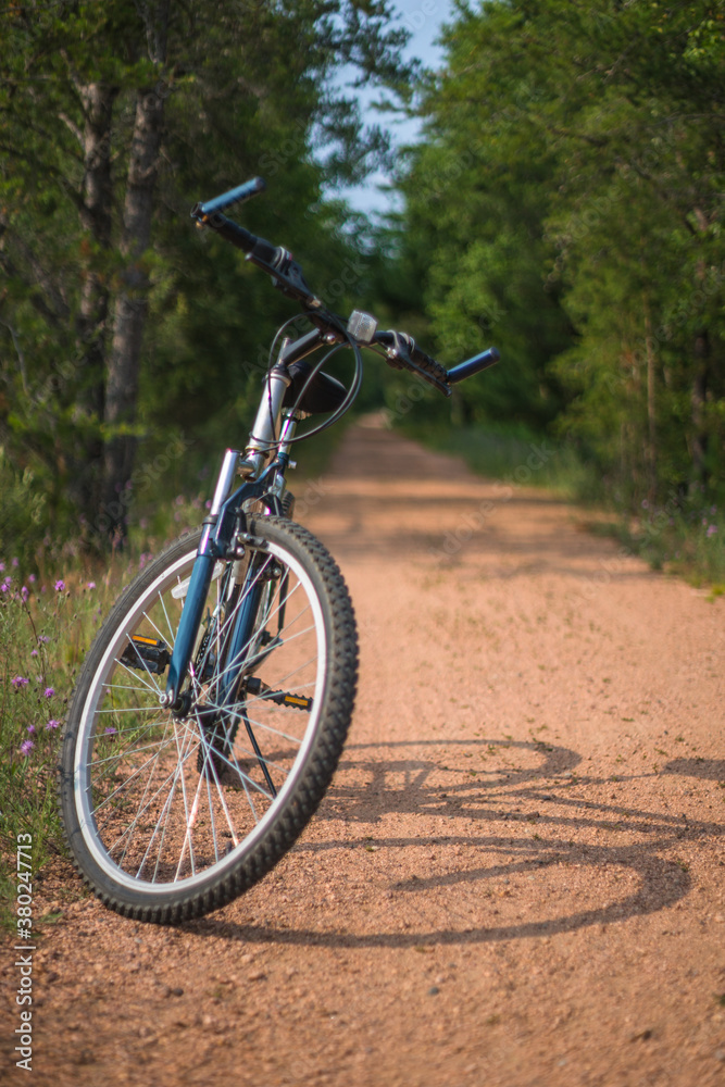 Mountain Bike Parked on a Northern Wooded Trail Mountain Bike Parked on a Northern Wooded Trail