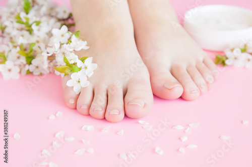 Young  perfect groomed woman feet and white cream jar on pastel pink background. Care about clean  soft and smooth body skin. Beautiful branch of cherry blossoms. Fresh flowers. Closeup. Front view.