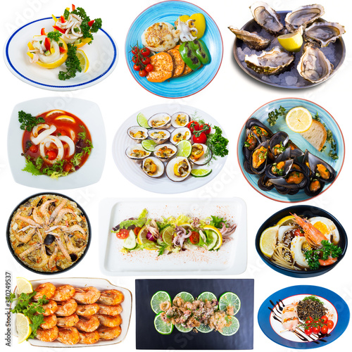 Collage of different plates of seafood on white background