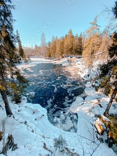 Lake view among trees in the snow