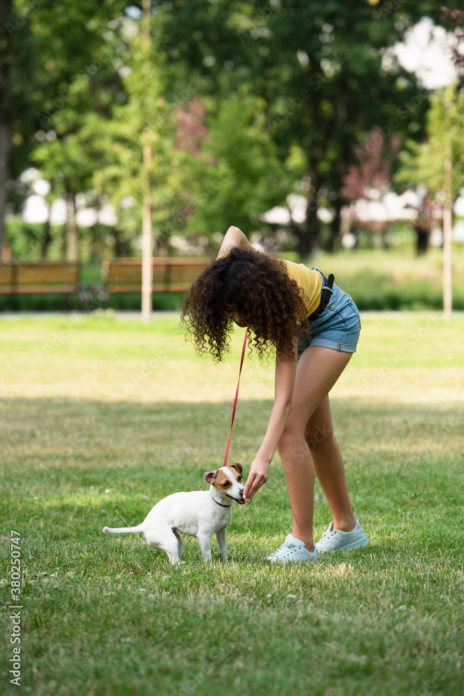 Selective focus of young woman feeding jack russell terrier dog Selective focus of young woman feeding jack russell terrier dog