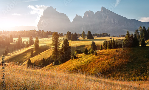 Alpe di Siusi, Seiser Alm with Sassolungo, Langkofel mountain group in background at sunrise. Wonderful nature landscape. Vivid morning over the alpine valley with fresh green grass.