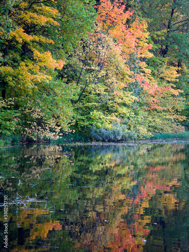 Fototapeta Naklejka Na Ścianę i Meble -  Beautiful evening autumn landscape of a lake with colorful trees and their reflection in the water