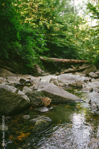 Stream and fallen trees in Virginia forest photo