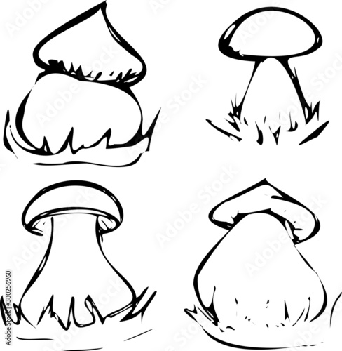 illustration of mushrooms