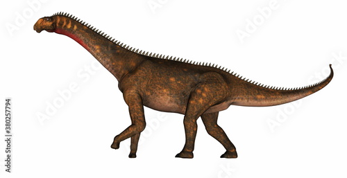 Mierasaurus dinosaur walking isolated in white background - 3D render © Elenarts