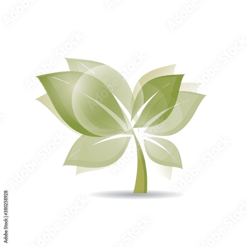 Seedlings