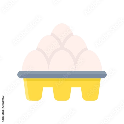 supper market or online shopping related eggs tray with eggs vector in flat style,