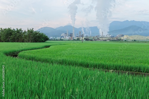 View of a chemical factory with smoking chimneys in the middle of a green rice field in the early morning   Factory pipes polluting air on a silent morning  a serious environmental issue