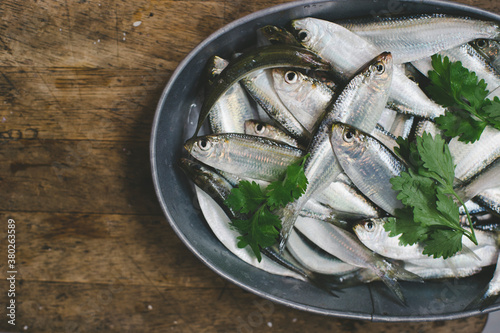 Herring fish photo