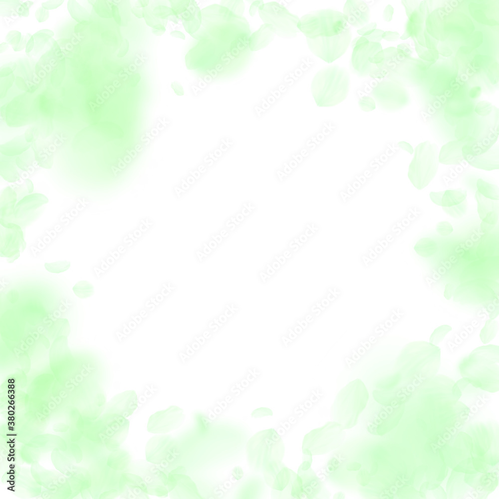 Green flower petals falling down. Popular romantic Green flower petals falling down. Popular romantic