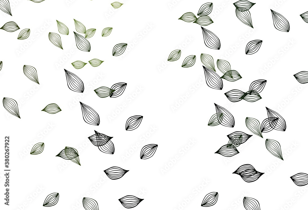 Light Green vector doodle cover. Light Green vector doodle cover.