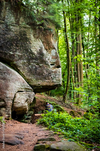 Rock which looks like a face in a forest in Luxembourg on a summer day. 