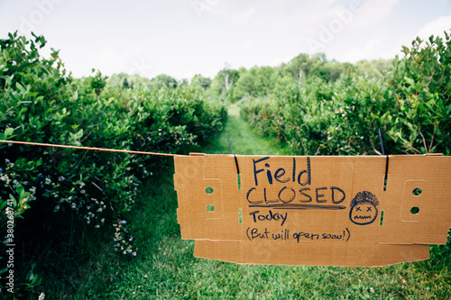 Cardboard Sign Displaying Field Closed on a Berry Farm photo