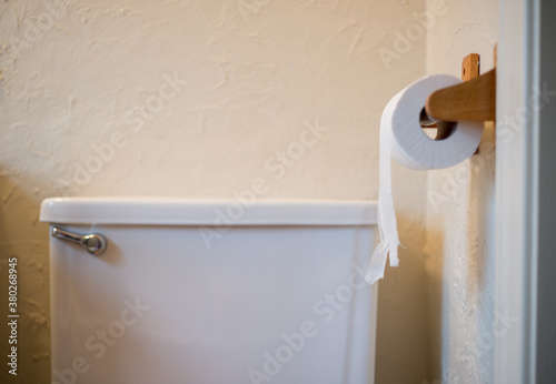 Toilet Paper