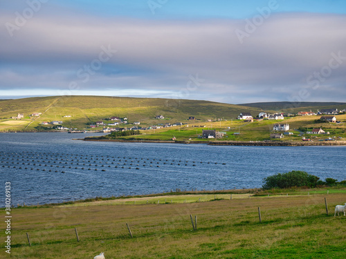 The remote community of Mid Yell on the island of Yell in Shetland, Scotland, UK - a rope-grown mussel farm appears in the foreground.