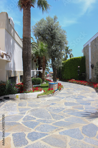 Green beautiful territory of the hotel