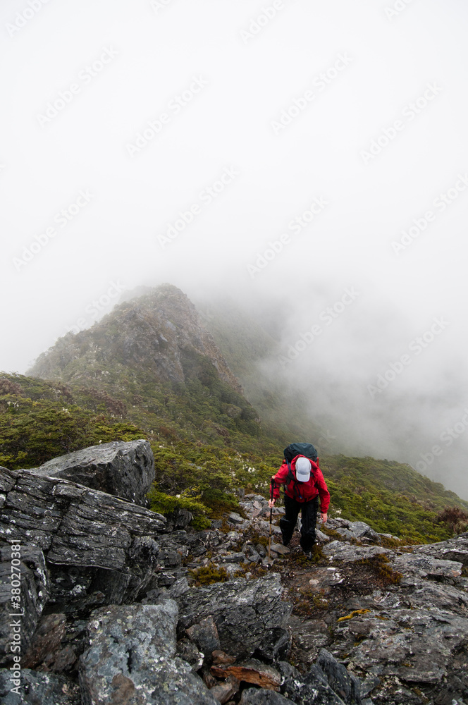 Woman walking, Kahurangi National Park, New Zealand. Woman walking, Kahurangi National Park, New Zealand.