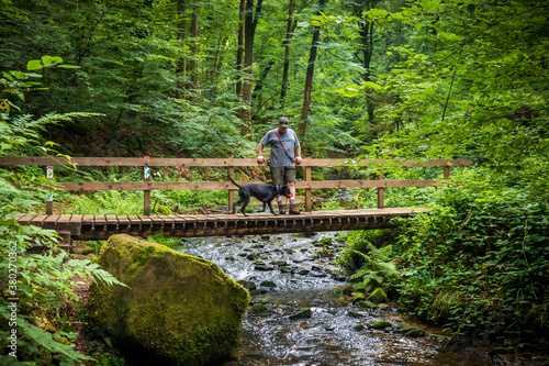 Man and his dog standing on a bridge over a stream in a Luxembourg forest Fototapeta
