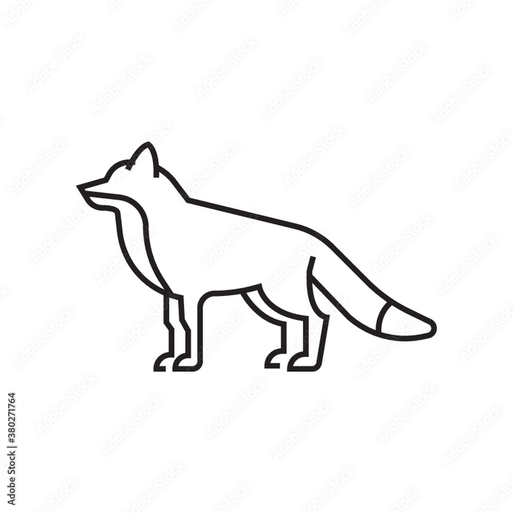 fox fox