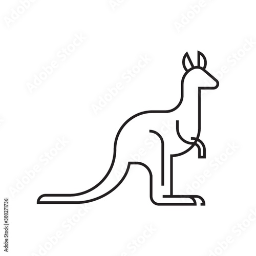 kangaroo
