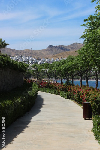 Green beautiful territory of the hotel