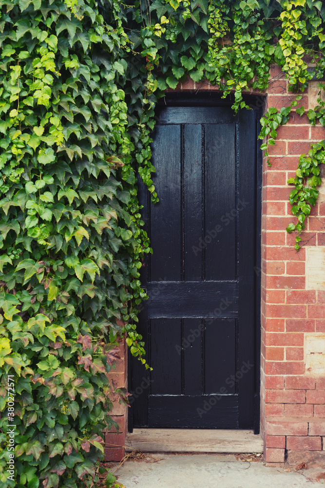 black door with leafy vines and red brick, house exterior black door with leafy vines and red brick, house exterior