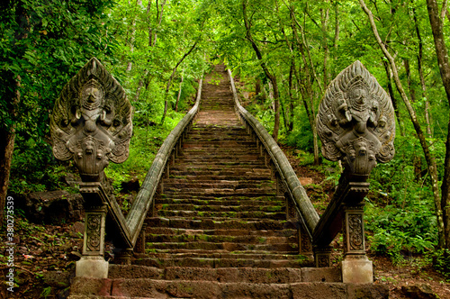 Stairway to the jungle photo