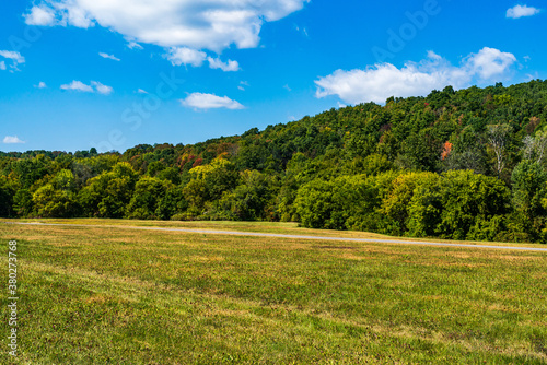 landscape with green grass and sky