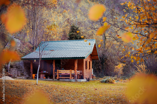 Wooden cottage in the forest photo