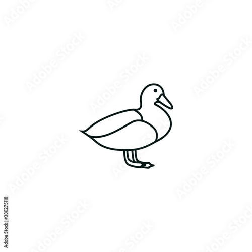 Duck