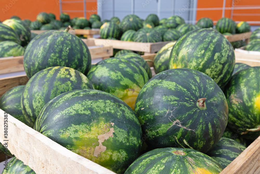 Produce Watermelons Warehouse