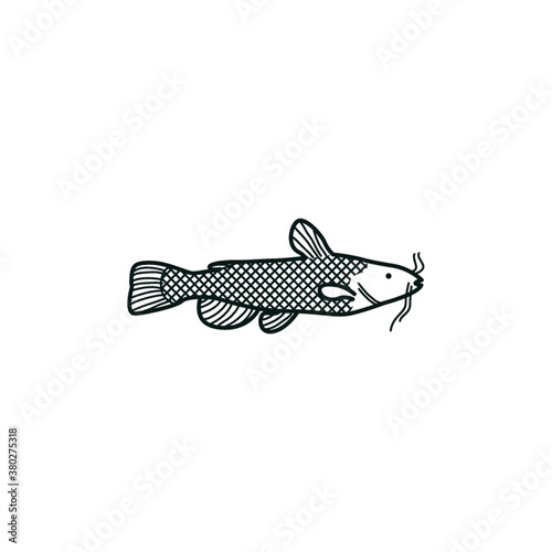 Catfish