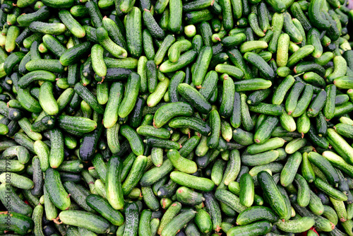 Full frame view of raw organic Turkish mini cucumbers, in a farmers produce market, Istanbul, Turkey © RobertCoy