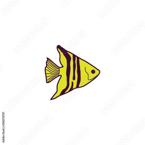 Angelfish