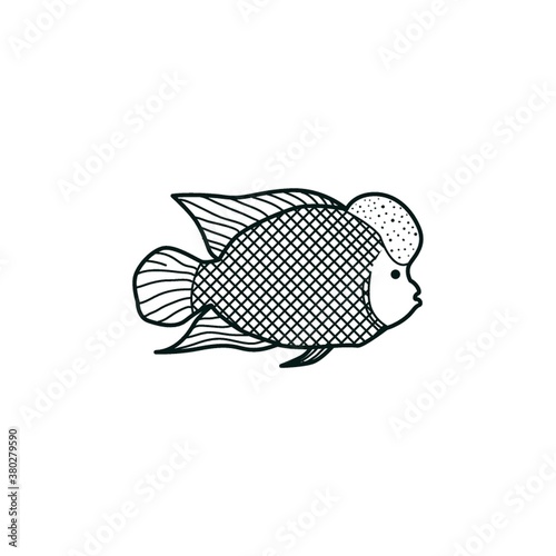 Green humphead parrotfish