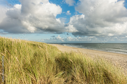 Beach with sand dunes and marram grass, blue sky and clouds in soft evening sunset light. Hvidbjerg Strand, Blavand, North Sea, Denmark.