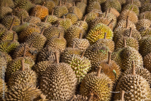 Durians by the Dozen