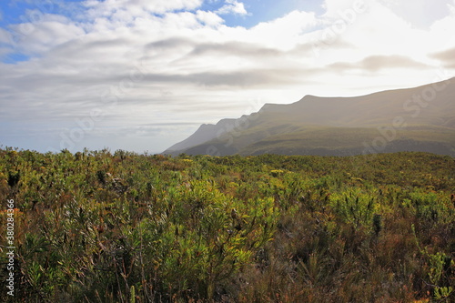 Fernkloof Nature Reserve photo