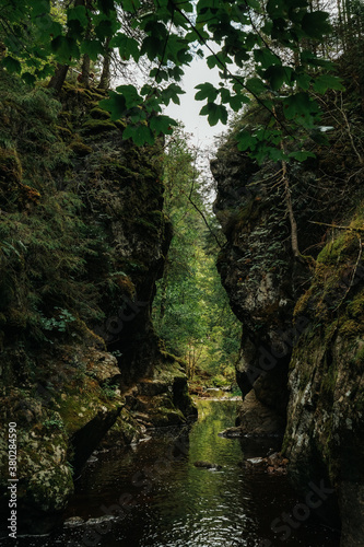 Forest and river of the Haslach gorge next to Wutach gorge in the black forest in Germany © Moritz Klingenstein