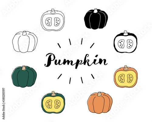 手書きのシンプルなカボチャのイラスト 断面 ハロウィン おしゃれ 野菜 食材 Stock Vektorgrafik Adobe Stock