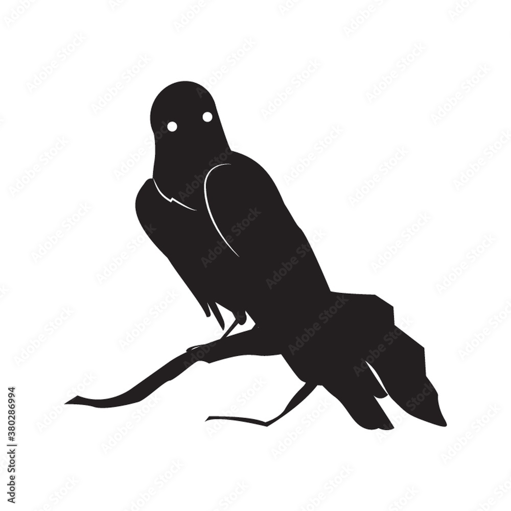 Fototapeta premium silhouette of bird