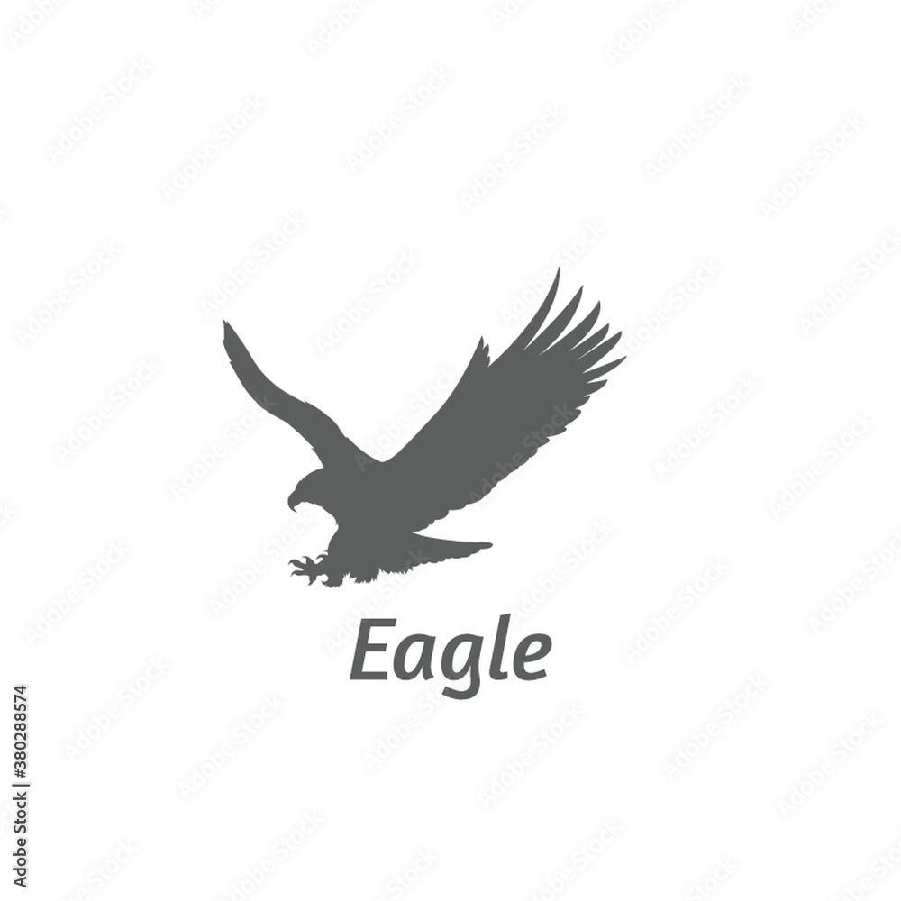 Fototapeta premium Silhouette of eagle flying