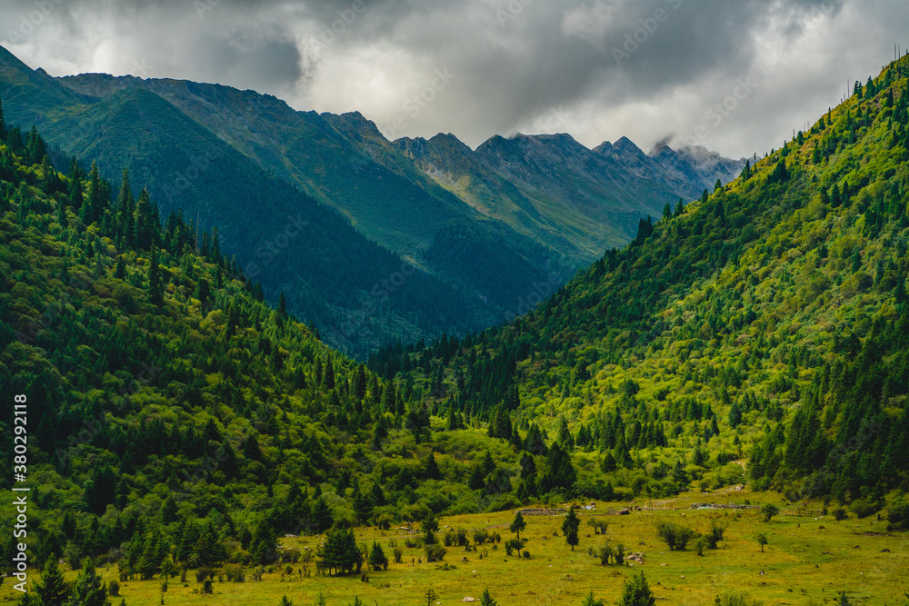 Obraz premium Valley landscape in Tibet, summer time, with forest and grassland on a cloudy day.