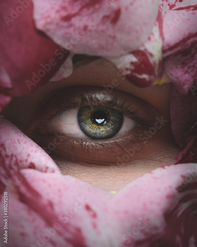 Auge mit Rosenblättern