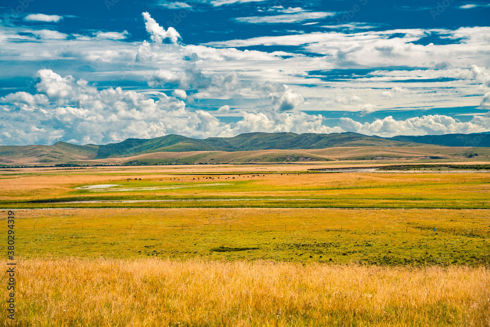 The hill and grassland landscape in Ruoergai Grassland, Sichuan, China, autumn time. The hill and grassland landscape in Ruoergai Grassland, Sichuan, China, autumn time.